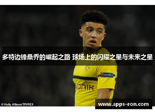 多特边锋桑乔的崛起之路 球场上的闪耀之星与未来之星