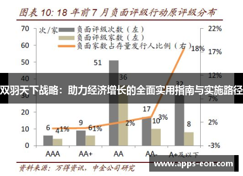 双羽天下战略：助力经济增长的全面实用指南与实施路径