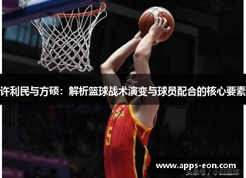 许利民与方硕：解析篮球战术演变与球员配合的核心要素