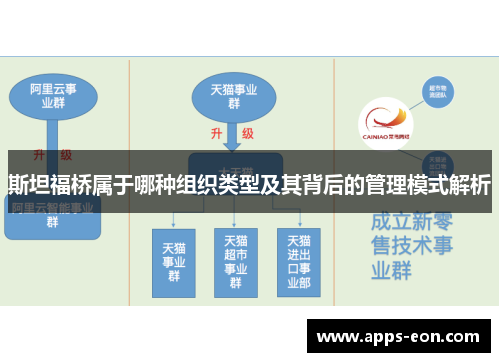 斯坦福桥属于哪种组织类型及其背后的管理模式解析