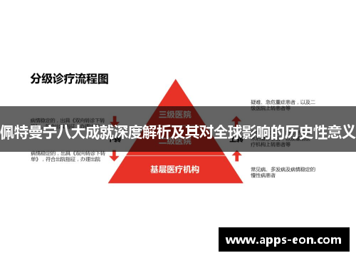 佩特曼宁八大成就深度解析及其对全球影响的历史性意义